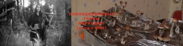 таблы Переславль-Залесский