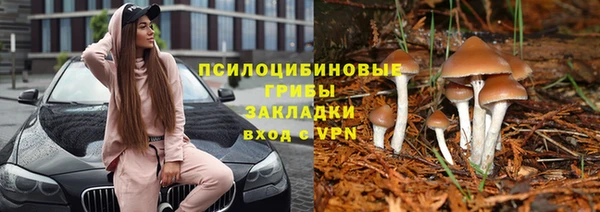 таблы Переславль-Залесский