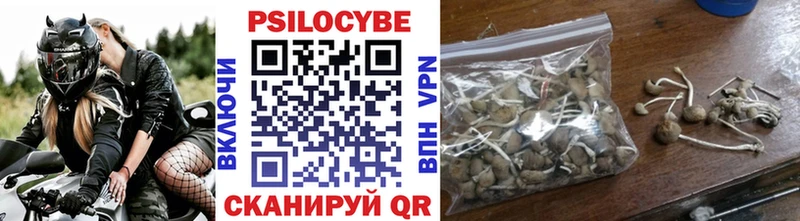 Купить закладки  Свободный  Галлюциногенные грибы MAGIC MUSHROOMS 